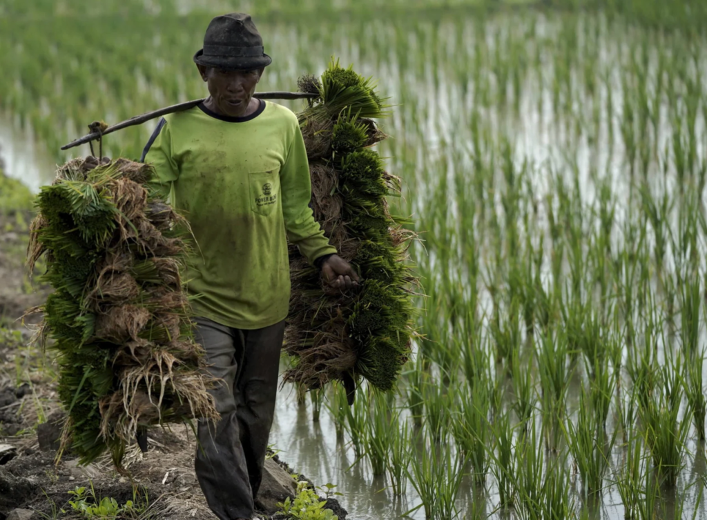 Koperasi Simpan Pinjam Malang